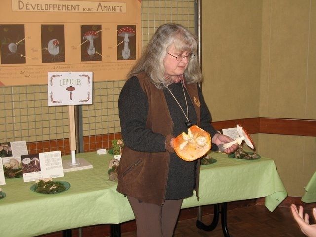 Expo champignons a St Leger 81